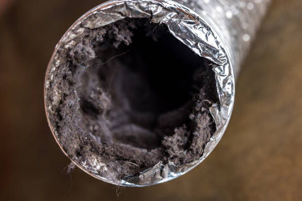 Best Home Air Vent Cleaning  in Westlake Vlage, IL