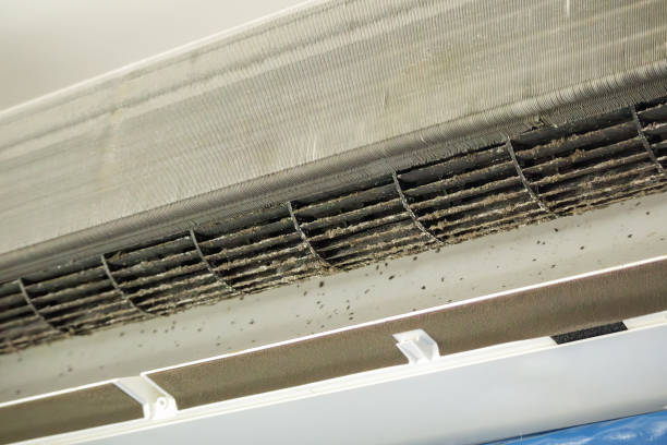 Best Air Duct Cleaning Near Me  in Westlake Vlage, IL